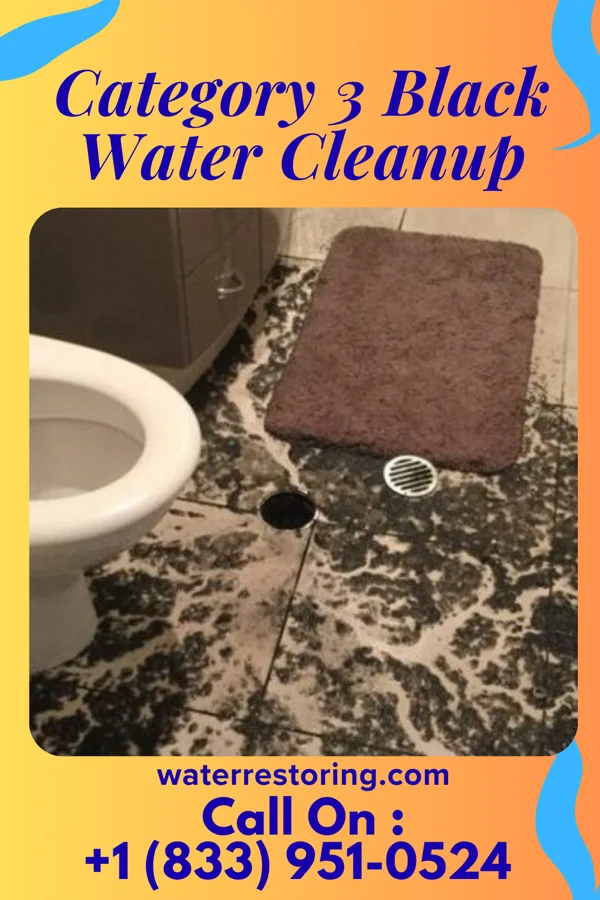 Category 3 Black Water Cleanup in Pemberwick, CT