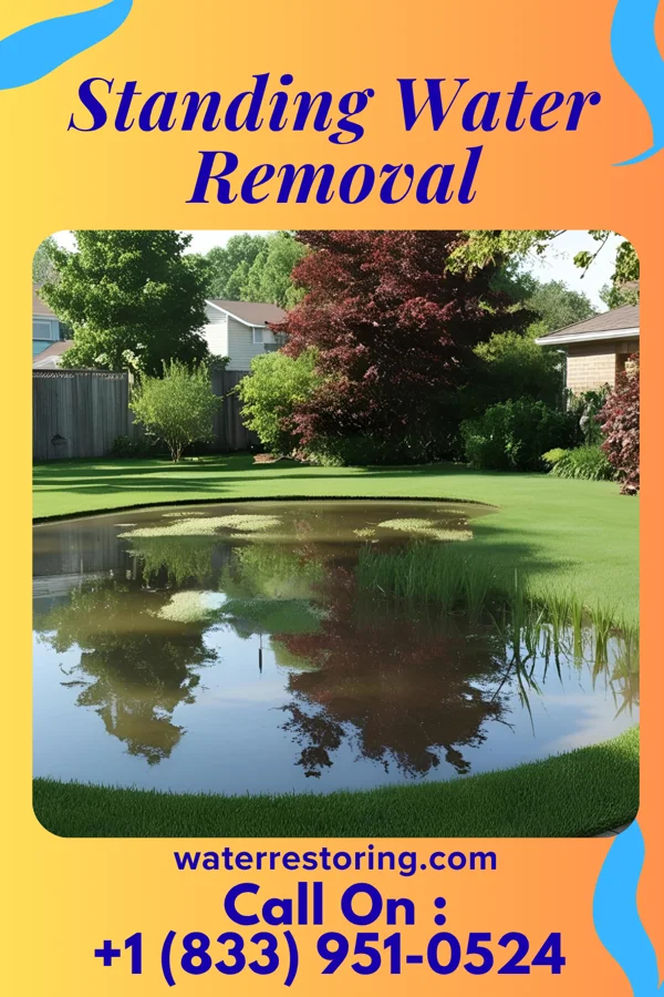 Standing Water Removal in Pemberwick, CT
